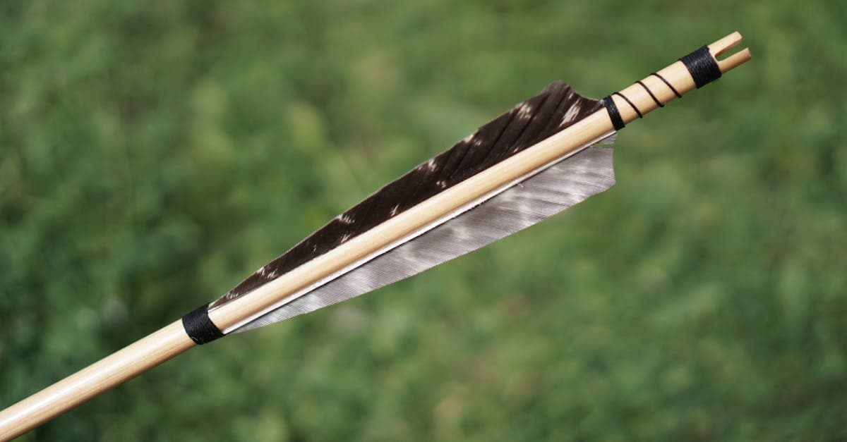 เปรียบเทียบ 5 เว็บหวยออนไลน์ อัตราจ่ายดีที่สุด มี.ค. 2569 | IMR Karajovic